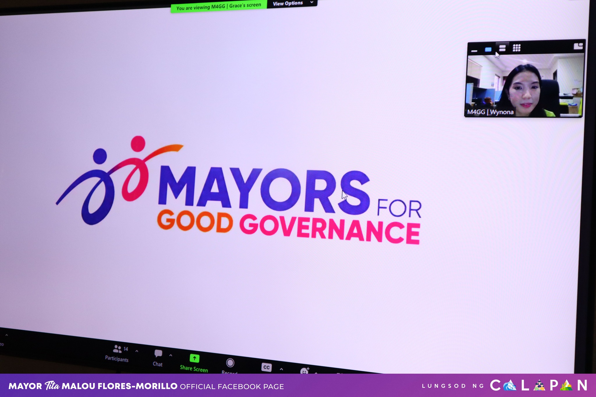 Mayors for good governance virtual discussion