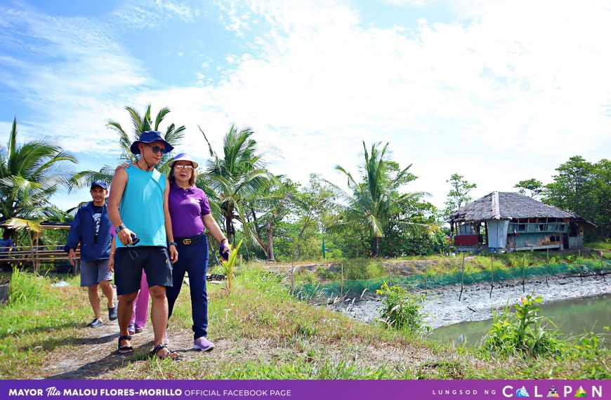 Crab farming in Calapan