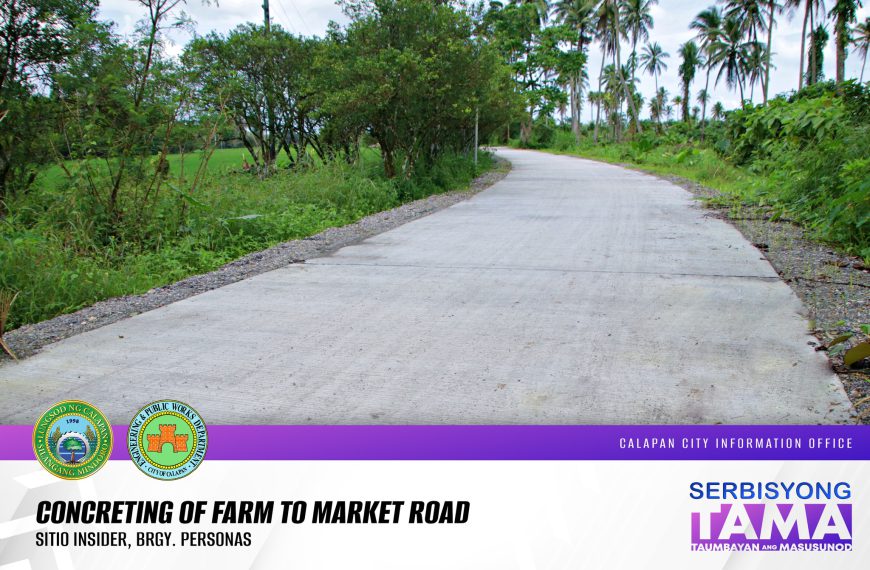 Concreting of farm to market road, Sitio Insider, Brgy. Personas