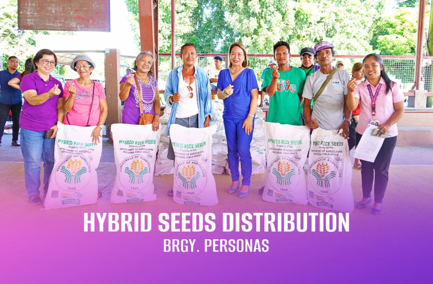 Hybrid rice seeds, ipinagkaloob sa mga magsasaka na mula sa limang (5) Barangay sa lungsod ng Calapan