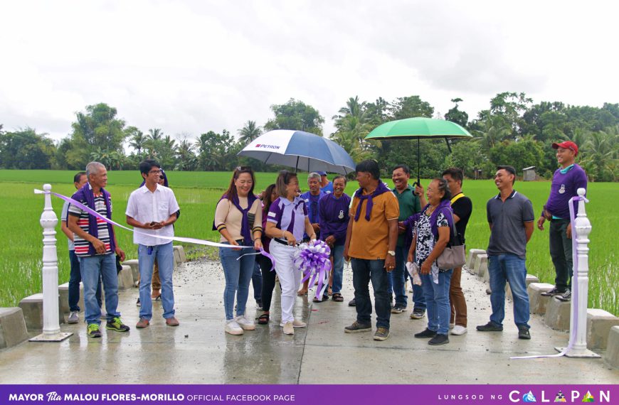 Farm to market road sa Sitio Buhuan, Brgy. Comunal