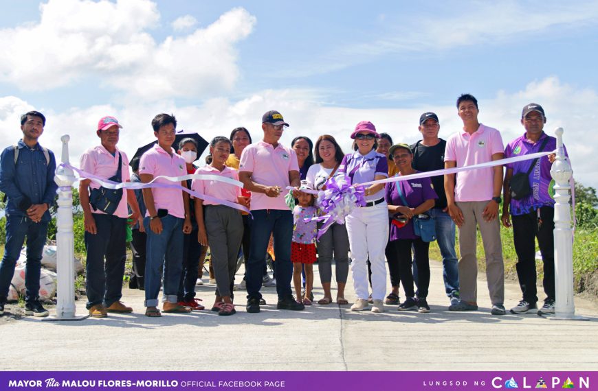 Farm to Market road ng Brgy. Sta. Cruz – Nag-iba II Road