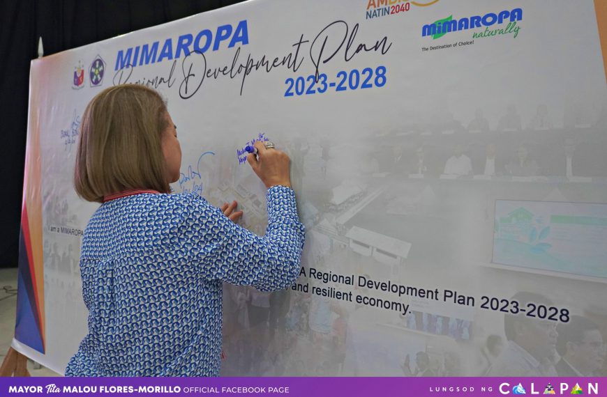  MIMAROPA RDP 2023-2028 Provincial Roadshow