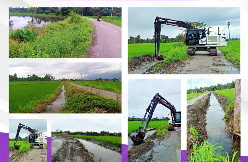 Clearing of Irrigation Canal for the farmers of Brgy. Canubing II. from Sitio Bayog to Sitio Ibaba.