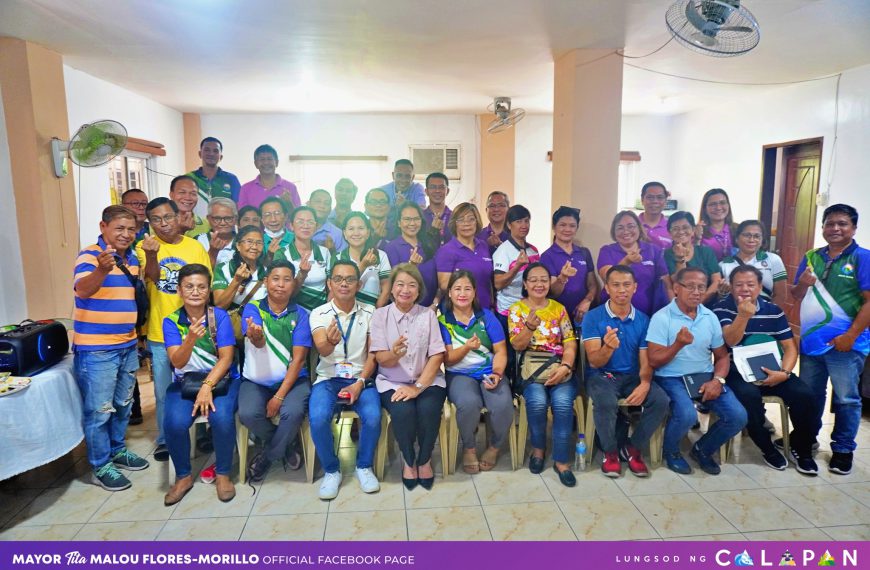 BARANGAY ILAYA AND LIBIS SECTORAL CONSULTATION