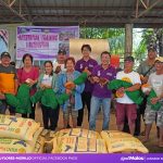 IFFP Project: Free Range Chickens & Calamansi Seedlings